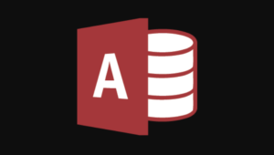 access logo