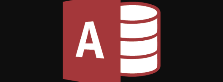 access access logo
